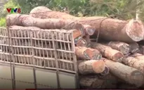 Gia Lai chưa có giải pháp xử lý dứt điểm xe quá tải