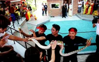 Thú vị ngôi nhà xiếc rắn Nha Trang Snake Show