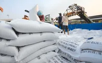 Giải pháp nâng cao giá trị gạo xuất khẩu Việt Nam