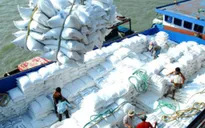 Gạo Việt yếu thế trên thị trường