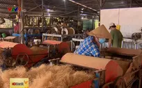 Người dân Trà Vinh ổn định cuộc sống với nghề se chỉ tơ xơ dừa