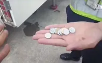 Hoãn chuyến bay do cụ bà 80 tuổi ném tiền xu vào động cơ để lấy may