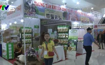 Khai mạc Hội chợ hàng Việt và nông sản an toàn thực phẩm Đà Nẵng 2017