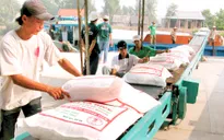 Xuất cấp gạo cho tỉnh Gia Lai, Đăk Lăk