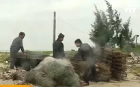 Cảnh báo tình trạng lừa đảo xuất khẩu lao động ở Quảng Bình
