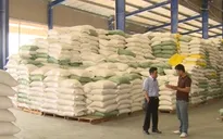Bãi bỏ quy hoạch thương nhân kinh doanh xuất khẩu gạo