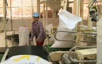 Gạo Việt Nam rộng đường xuất khẩu