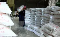 Xuất khẩu gạo nhiều tín hiệu lạc quan sau thời gian dài trầm lắng