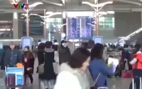 Hơn 1300 lao động Hà Tĩnh cư trú, làm việc trái phép tại Hàn Quốc