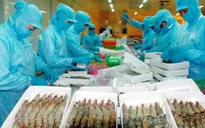 Xuất khẩu tôm tăng tốc để cán mốc 3,4 tỷ USD