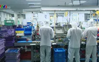 Việt Nam có tỷ lệ xuất nhập khẩu ở hàng cao trên thế giới