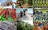 Nông sản Việt Nam dần khẳng định vị thế