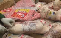 Bắt hơn 300 kg vịt và xúc xích nhập lậu tại Cao Bằng