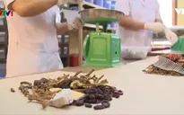 Khuyến khích người Việt sử dụng y, dược cổ truyền