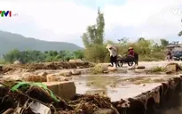 Gượng dậy sau mưa lũ ở Yên Bái