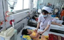 Quảng Nam: Số ca sốt xuất huyết tăng gấp 16 lần năm 2016