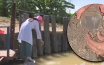 Đà Nẵng tăng cường năng lực quan trắc môi trường nước