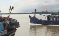 Quảng Trị: Kỳ vọng từ những chuyến biển đầu năm mới
