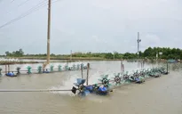 Cần sớm nhân rộng mô hình tiết kiệm điện trong nuôi tôm tại Sóc Trăng
