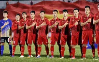 Không cấm sơn hình đội tuyển U23 Việt Nam lên máy bay