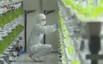 Lao động nước ngoài tại Nhật Bản tăng kỷ lục 1,28 triệu người