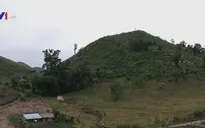 Guatemala giám sát rừng bằng vệ tinh