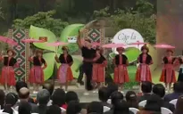 Ấn tượng Cặp lá yêu thương Sơn La