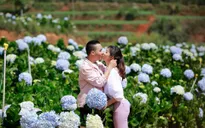 MC Hoàng Linh "Chúng tôi là chiến sĩ" tung ảnh cưới đẹp như mơ tại Đà Lạt