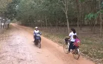 Một ngày làm việc của mẹ