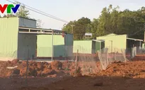 PTT Trịnh Đình Dũng yêu cầu kiểm tra thực trạng quản lý đất, rừng ở Tây Nguyên