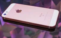 iPhone SE 2 có thể ra mắt ngay trong tháng 5