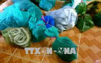 Bắt xế hộp hạng sang vận chuyển động vật hoang dã với số lượng lớn