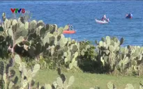 Bãi biển xương rồng- Nơi truyền cảm hứng về sự sống mãnh liệt