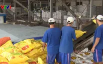 Xuất khẩu gạo Việt Nam đạt mức cao nhất trong 3 năm