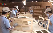 Tìm lời giải cho bài toán nguồn cung nguyên liệu gỗ