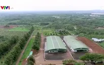 Khánh thành nhà máy chế biến thực phẩm công nghệ EU