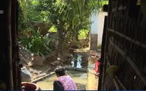 Trà Vinh: Cống tắc nghẽn, hàng trăm hộ dân sống trong ô nhiễm