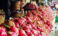 Giá thanh long ở chợ, siêu thị cao gấp 30 lần giá tại vườn