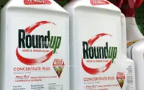 “Lơ lửng” án phạt 289 triệu USD dành cho Monsanto