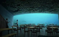 Na Uy xây dựng nhà hàng dưới nước lớn nhất châu Âu