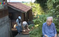 Lều làm đậu phụ chung của nông dân Nhật Bản