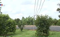Giảm chi phí chăn nuôi nhờ biến chất thải chăn nuôi thành điện năng