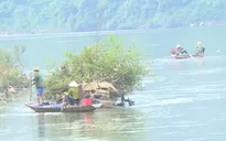 Hà Tĩnh: Báo động nạn sử dụng kích điện để đánh bắt thuỷ sản