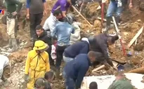 Sạt lở đất do mưa lớn tại Colombia khiến 11 người thiệt mạng
