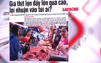 Giá thịt lợn đẩy lên quá cao: Lợi nhuận đang về túi ai?