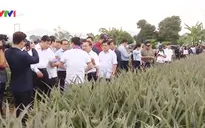 Việt Nam chia sẻ kinh nghiệm xây dựng, phát triển nông thôn