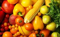 11 thực phẩm không nên bỏ ngăn đá tủ lạnh kẻo gây bệnh cho cơ thể