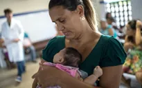 Ấn Độ báo động đợt bùng phát dịch bệnh Zika lớn nhất