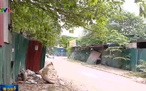 “Từ 2019, phải đấu thầu công khai trong công tác giao, cho thuê đất công”