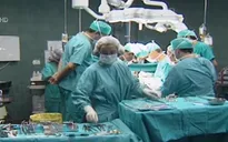 Tây Ban Nha - Điểm đến ghép tạng tại châu Âu